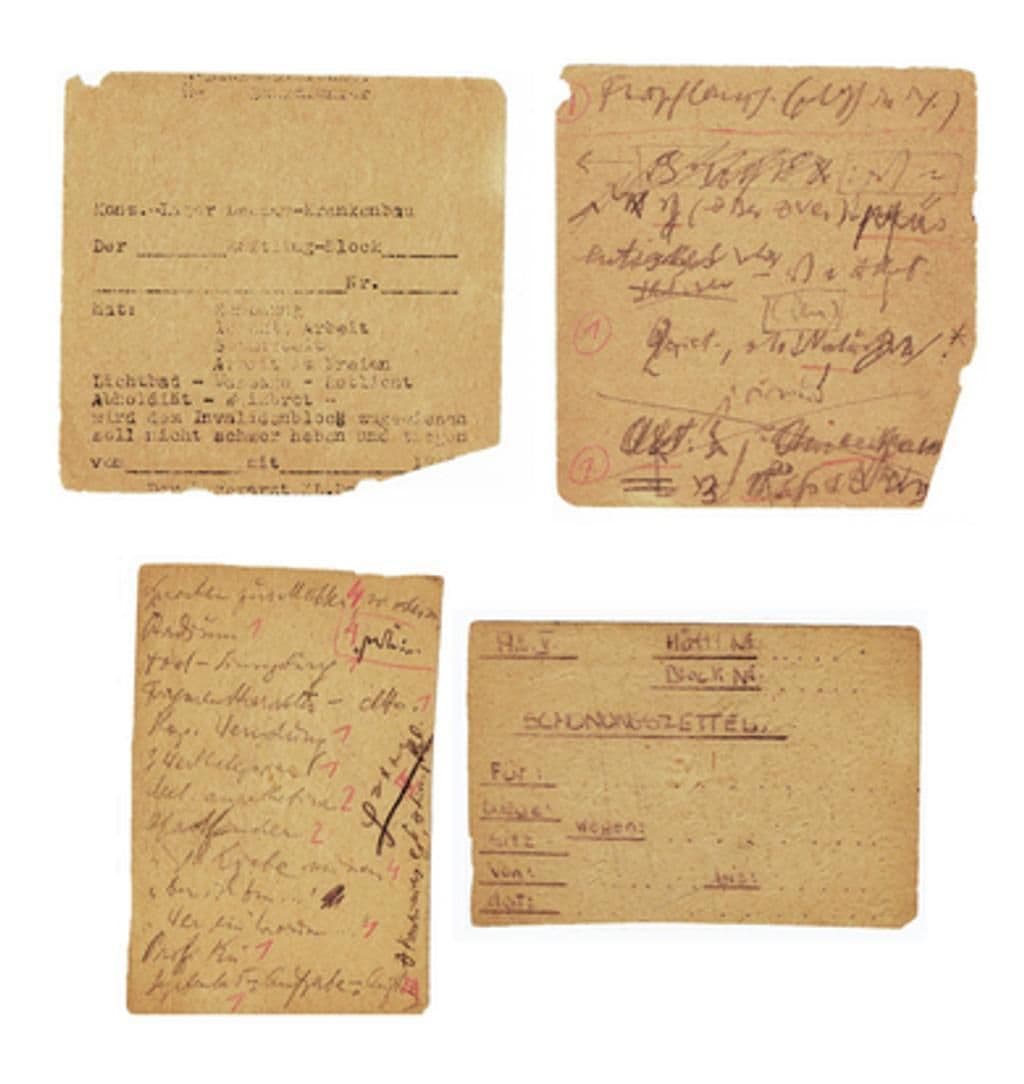 rukopis "Liječnik i duša"