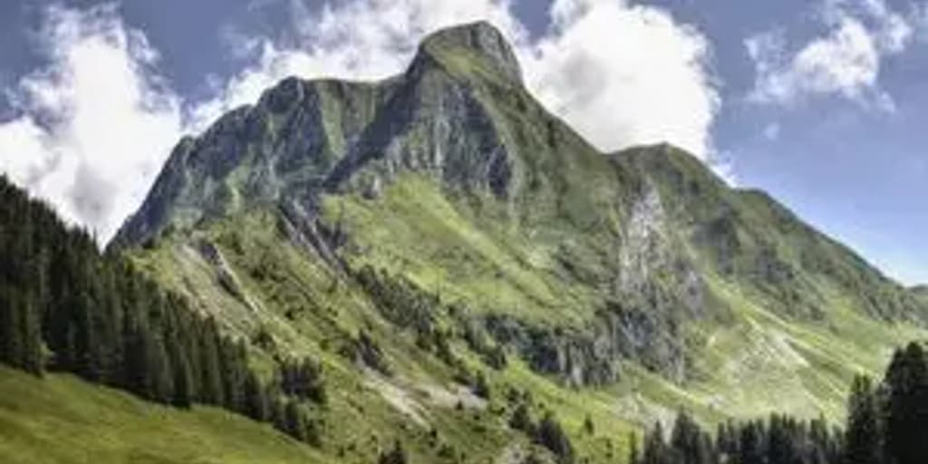 Ciljevi